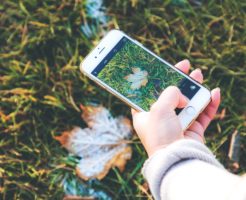 写真・画像・スクショからQRコードを読み取る方法